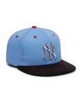 BLUEBERRY SNAPBACK
