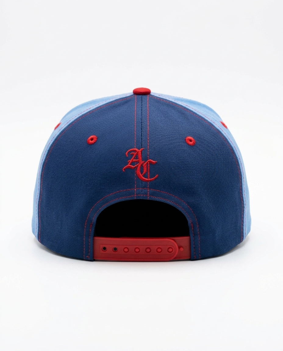 BLUEBERRY SNAPBACK